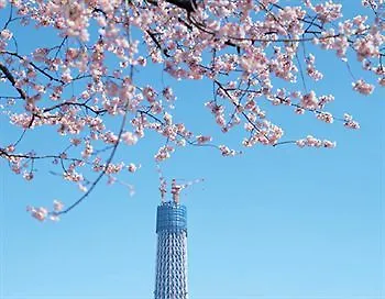 东京kkr酒店 東京都 酒店